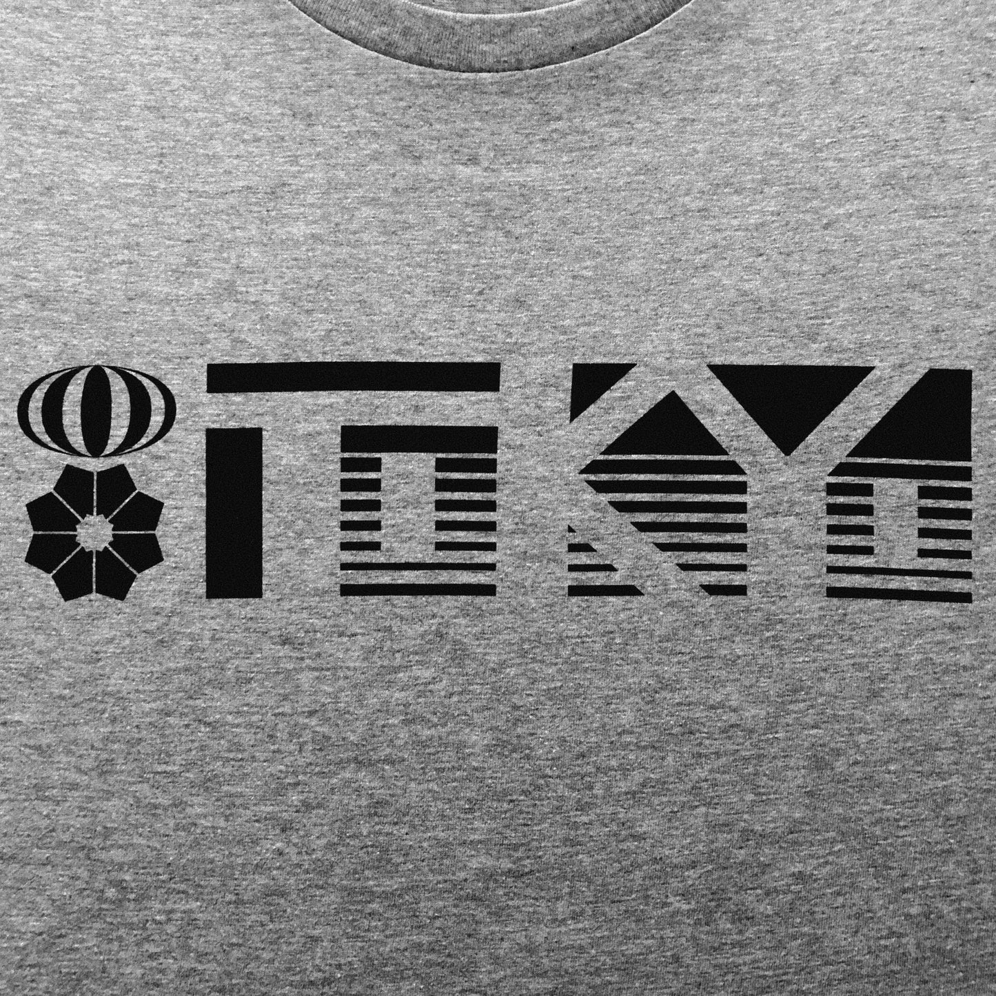 TOKYO KOINOBORI T-shirt [ Gray Body ]